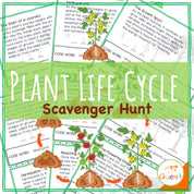 Plant Life Cycle Educational Scavenger Hunt for Kids 9-11