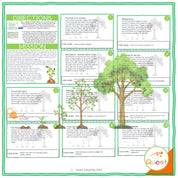 Plant Life Cycle Educational Scavenger Hunt for Kids 9-11
