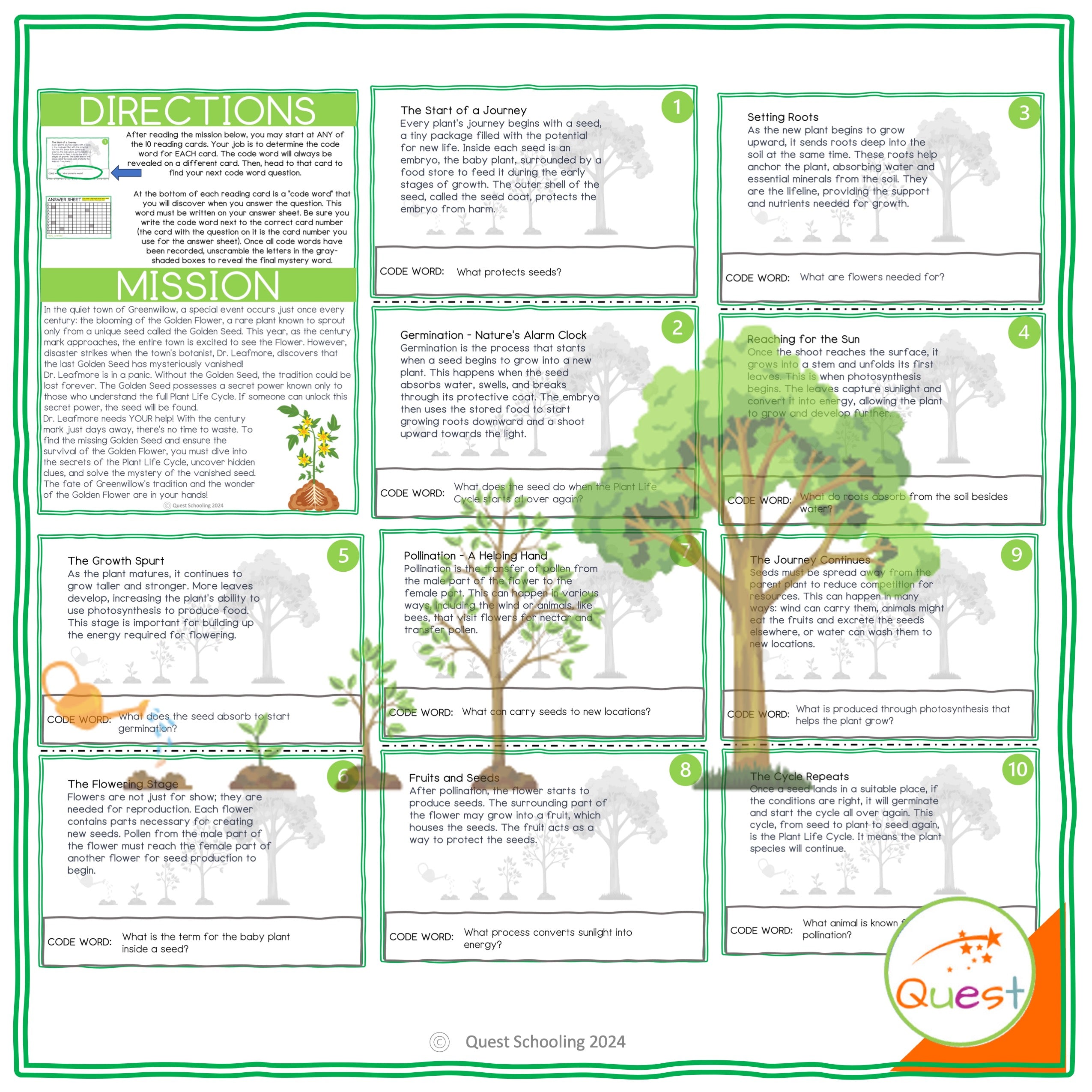 Plant Life Cycle Educational Scavenger Hunt for Kids 9-11