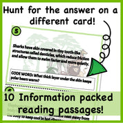 Animal Adaptations Science Scavenger Hunt for Kids 9-13