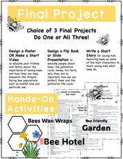 Bee Happy Project Based Learning PBL Environment, Art, ELA