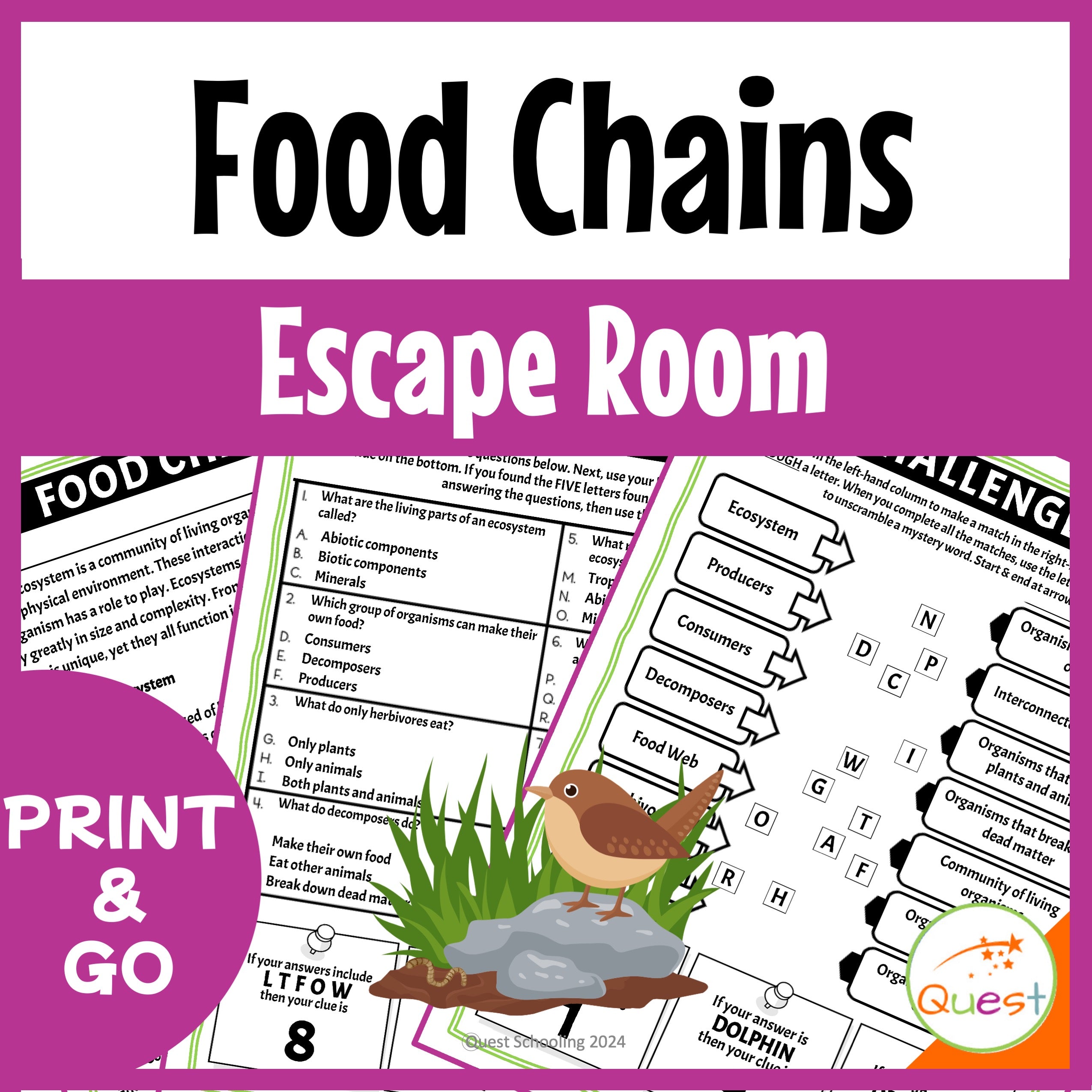 Food Chain Ecology and Environment Educational Escape Room for Kids 9-12