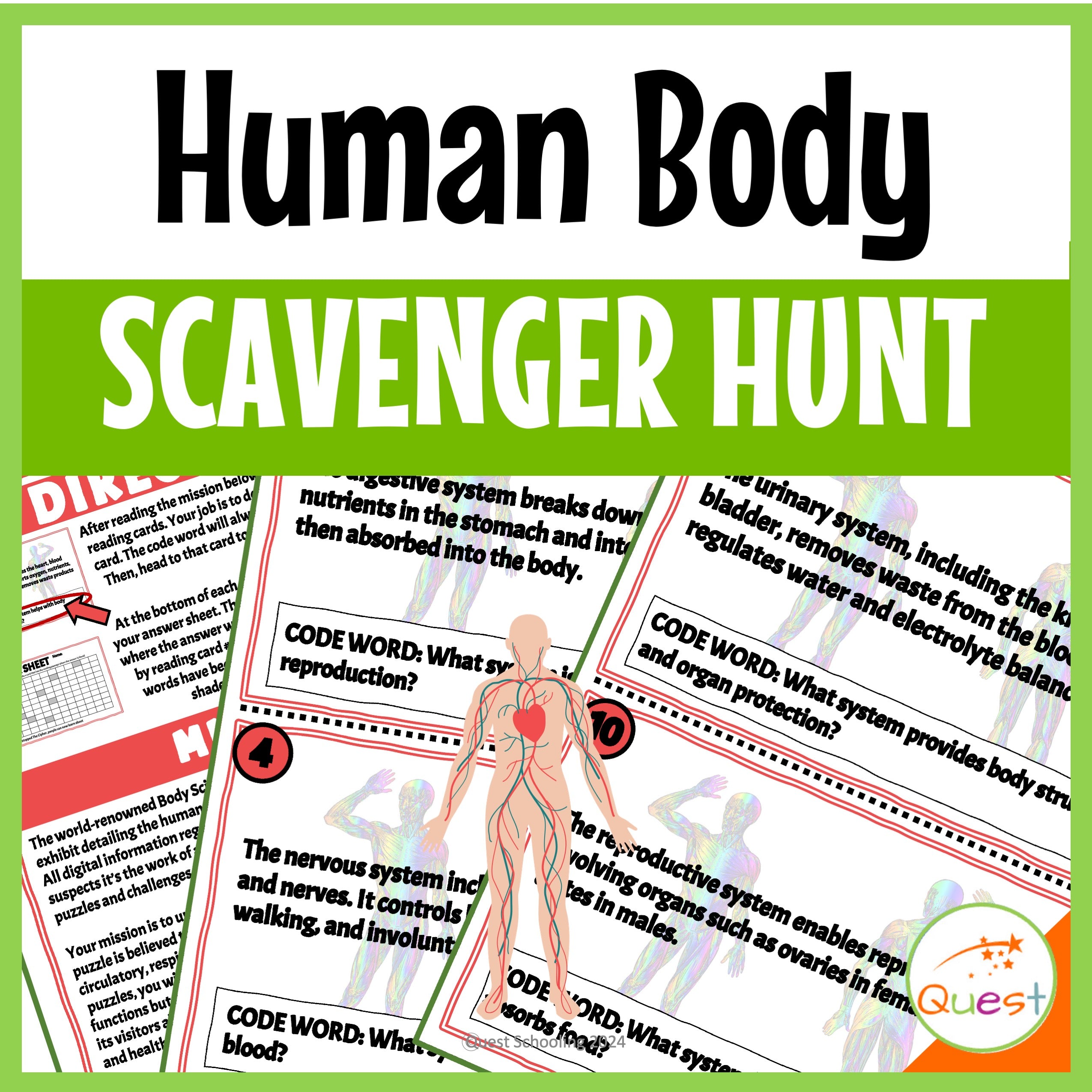 Human Body Anatomy and Systems Scavenger Hunt for Kids 9-13