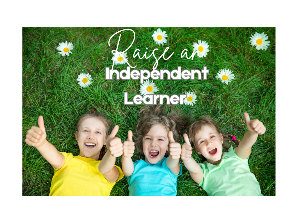 Independent_learner.png