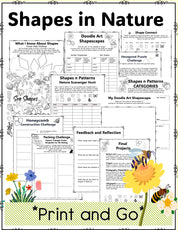 Shapes in Nature Project Based Learning PBL Math, Geometry, Science