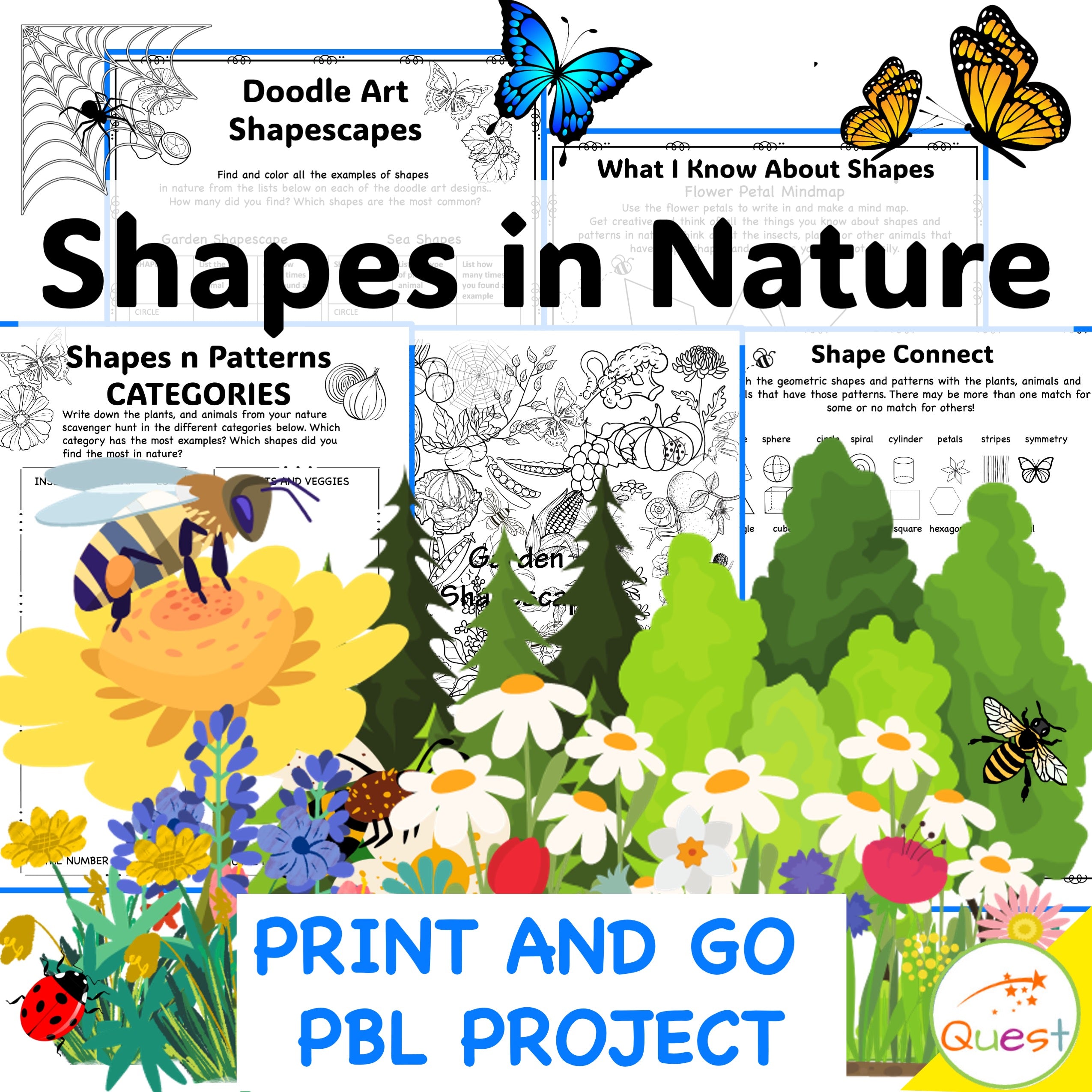 Shapes in Nature Project Based Learning PBL Math, Geometry, Science