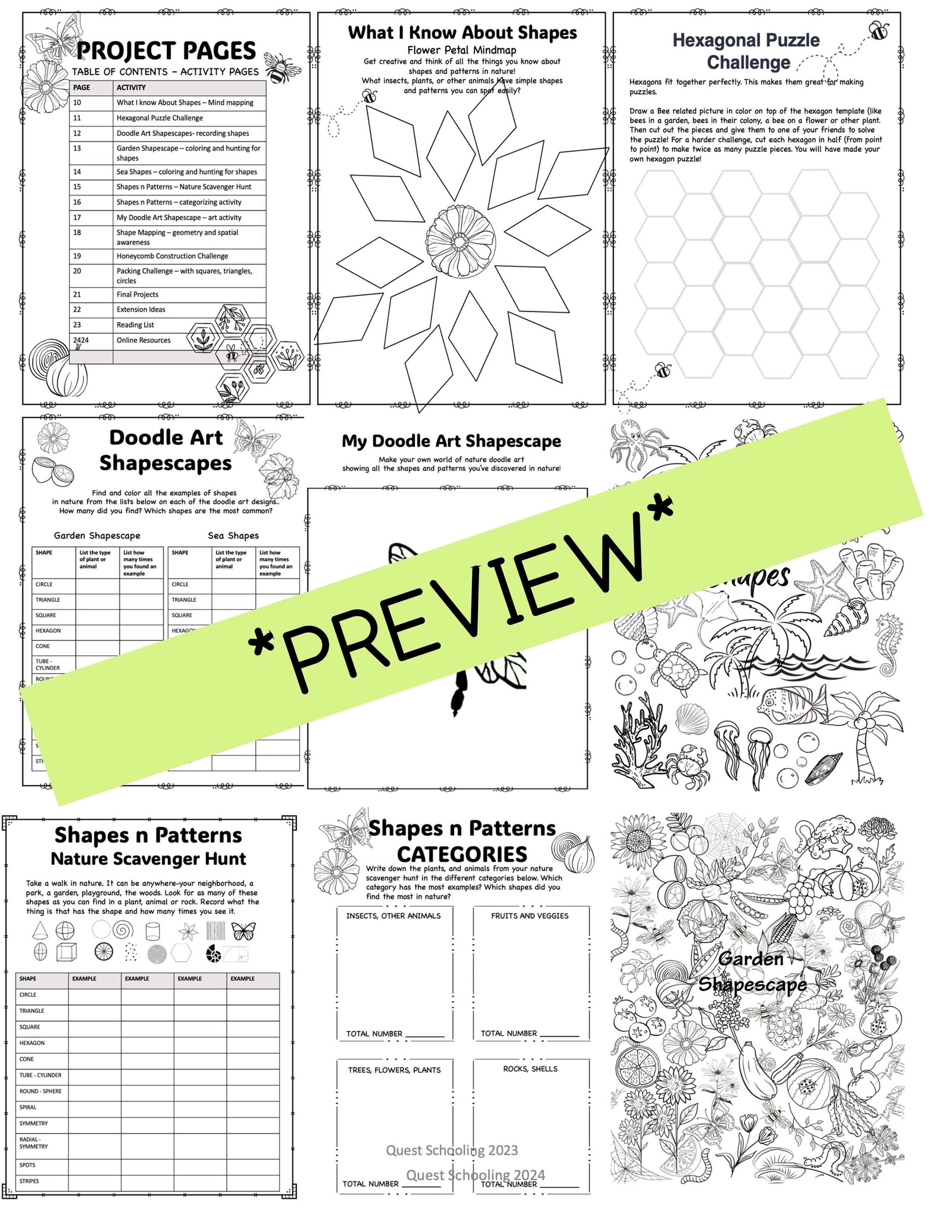 Shapes in Nature Project Based Learning PBL Math, Geometry, Science